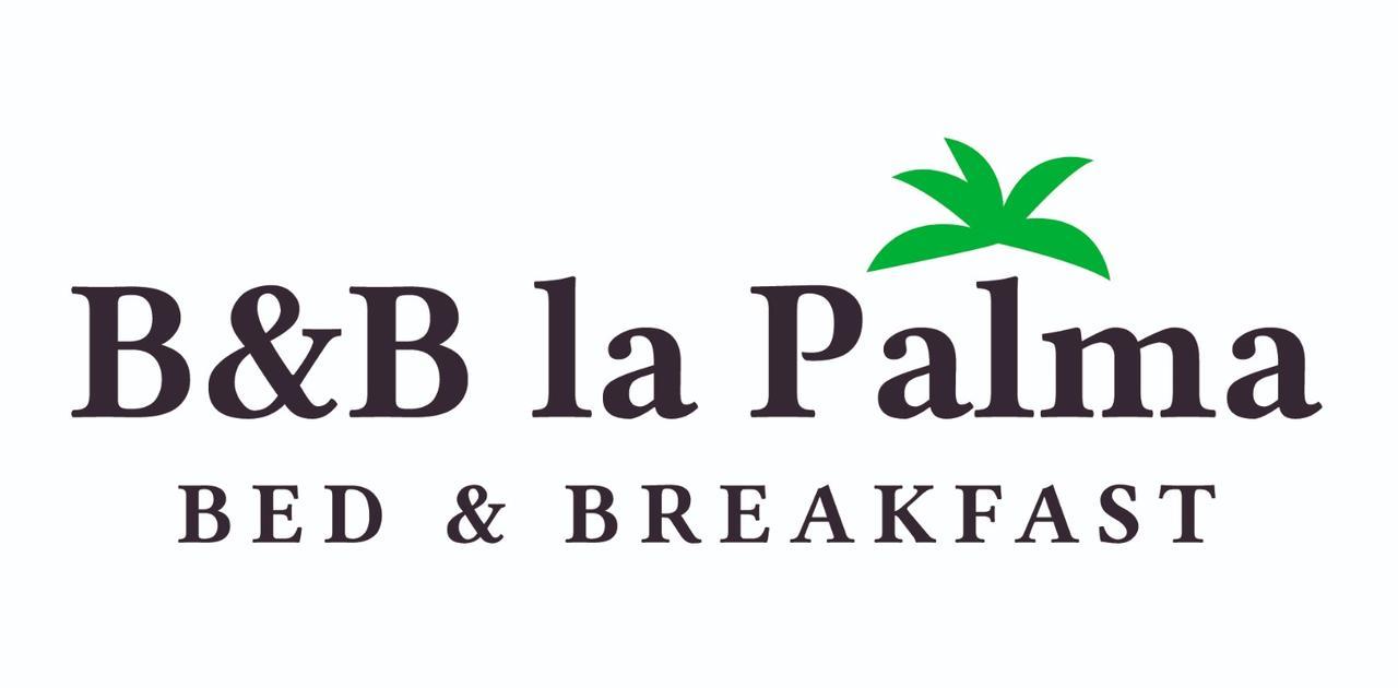 B&B La Palma Ruvo di Puglia Buitenkant foto
